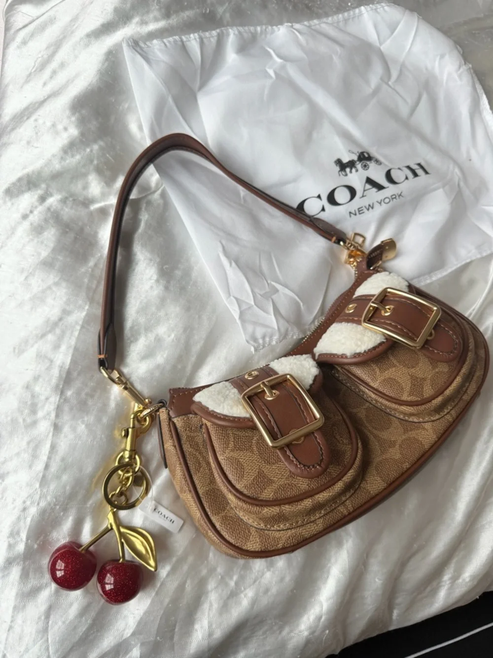 Coach Brown Ashton Signature Canvas Leather Shoulder Bag with Cherry Charm - Picture 8 of 8